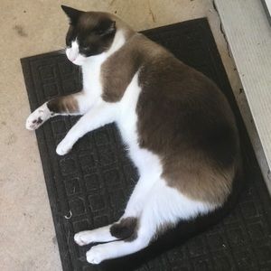 Meet your Posher, Anel